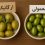 زیتون ارگانیک در مقابل زیتون معمولی مزایا، چالش‌ها و انتخاب بهتر