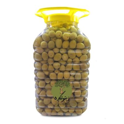 زیتون هسته دار 6.5 کیلویی
